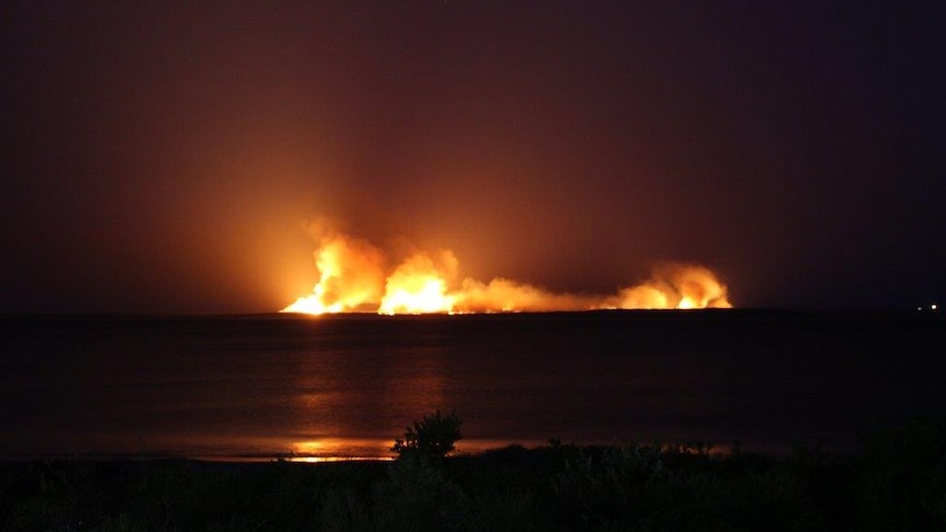 Beecroft Peninsula fire