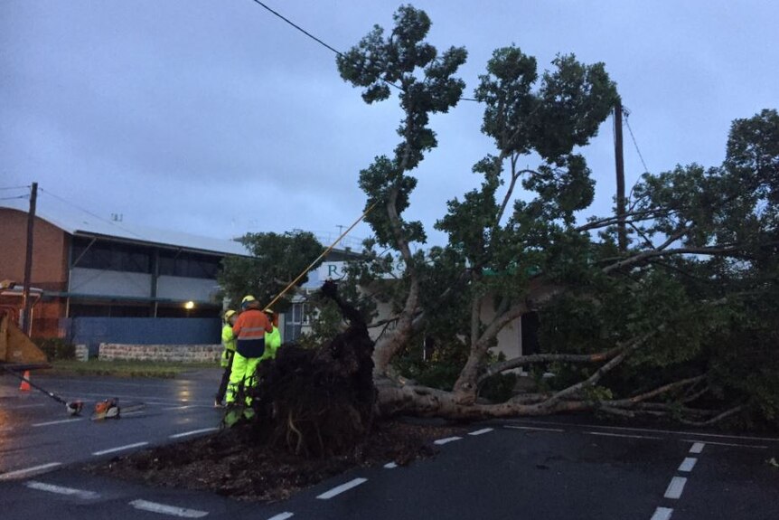 Council crews began the clean up, removing fallen trees from powerlines in Mackay.