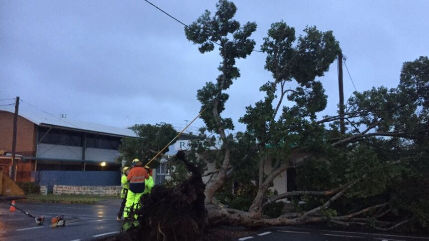 Council crews began the clean up, removing fallen trees from powerlines in Mackay.
