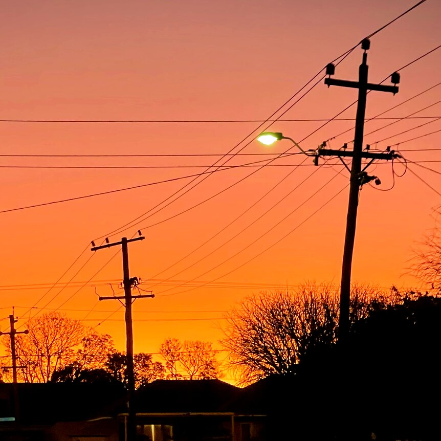 Above-ground powerlines string above the treetops against the backdrop of a golden sunset