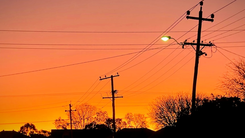 Above-ground powerlines string above the treetops against the backdrop of a golden sunset