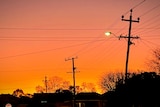 Above-ground powerlines string above the treetops against the backdrop of a golden sunset