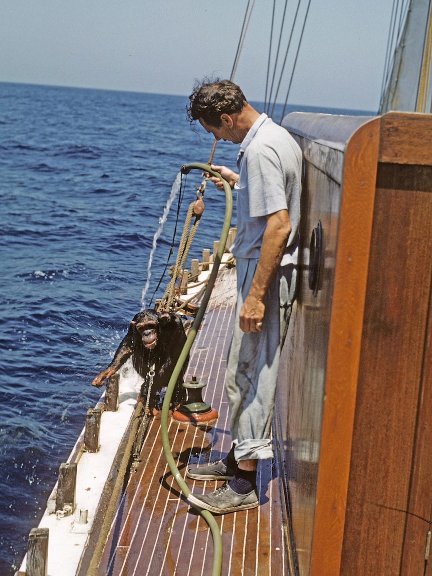 John Calvert giving Jimmy the Chimp a bath onboard the Sea Fox