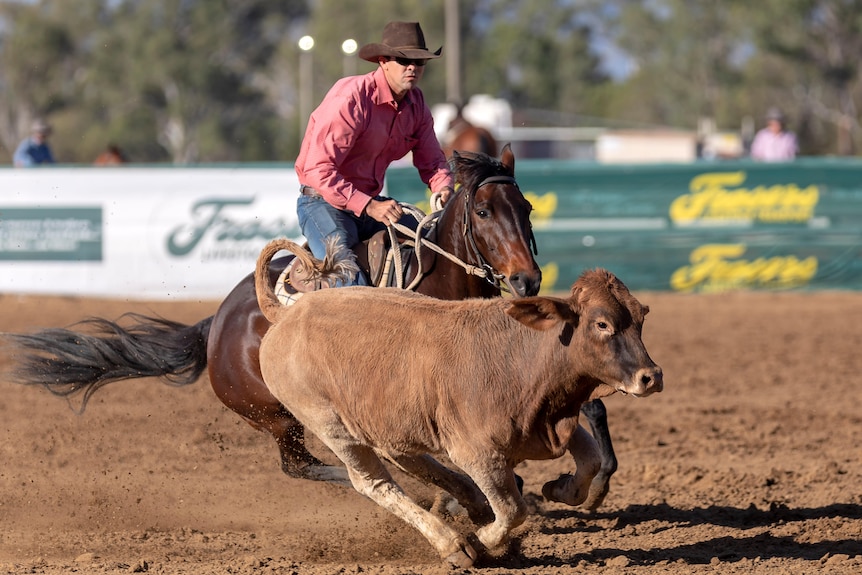 A man in a wide brim hat competes in the ring on a horse 