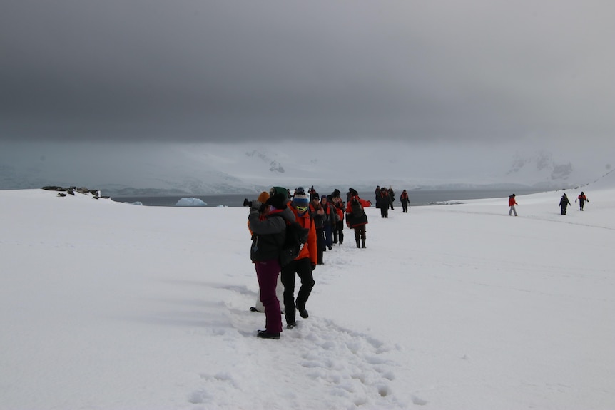 a group of women stand on snowy ground, in a loose single-file line