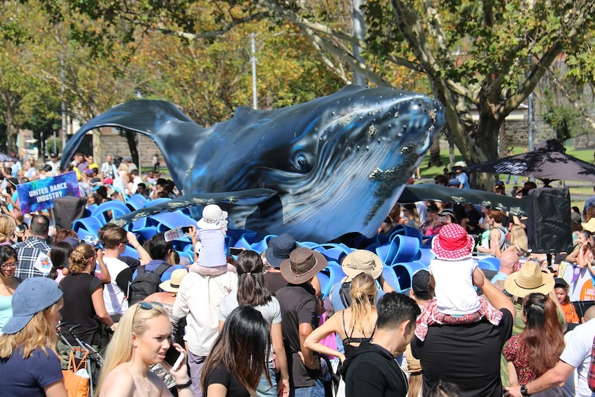 A whale float in the Moomba parade