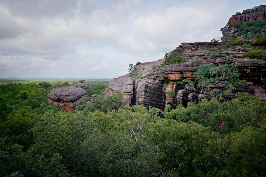 Burrungkuy (Nourlangie) viewed from the Kunwarddewardde lookout in Kakadu National Park. 2