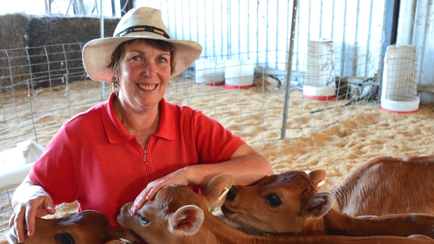 Farmer says rural counselling saved her business