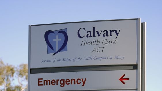 Maggots found in Calvary Hospital recovery room