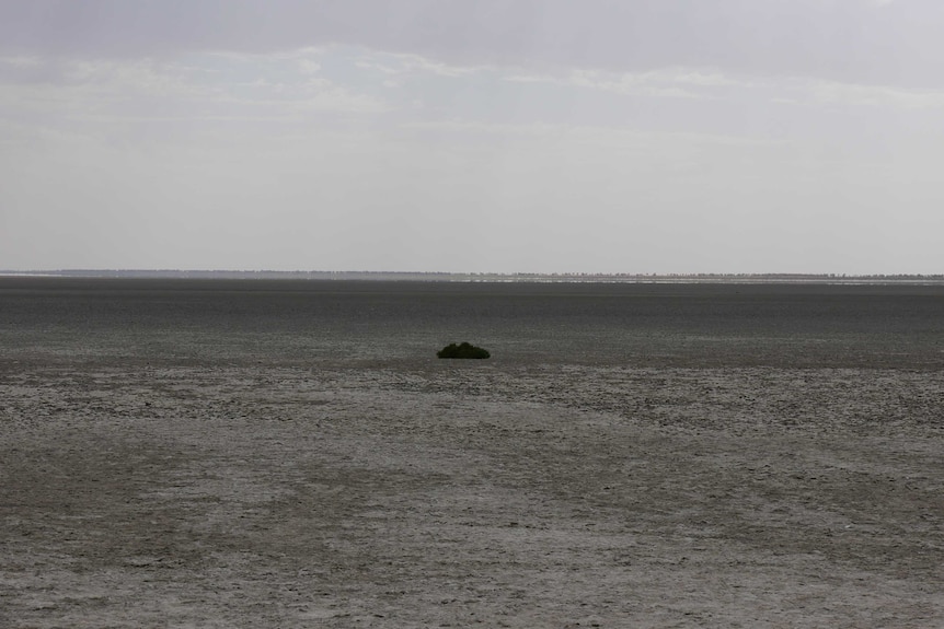 Dry Lake Gregory in Western Australia.