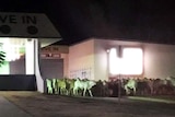 About 150 cattle in the car park of the Overlander Hotel in Mount Isa.