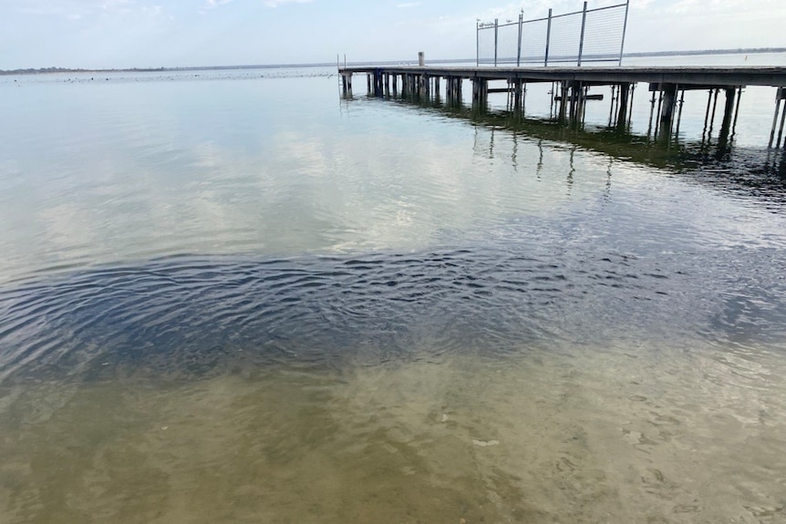 A dark shadow underwater in a fresh water lake next to a jetty