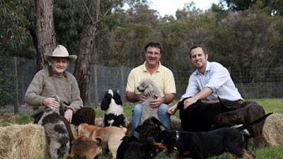 Three generations of Banksia Park Puppies owners