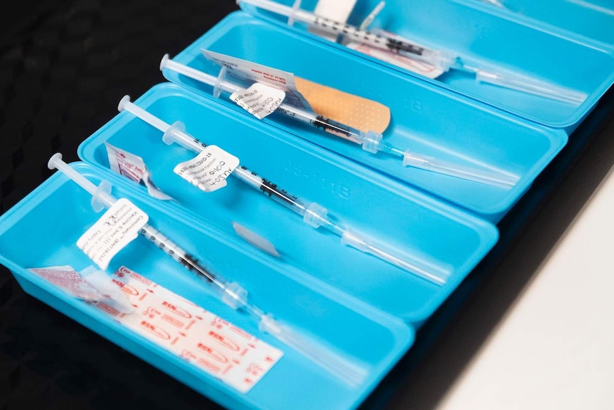 A line up of needles containing the COVID-19 vaccine.
