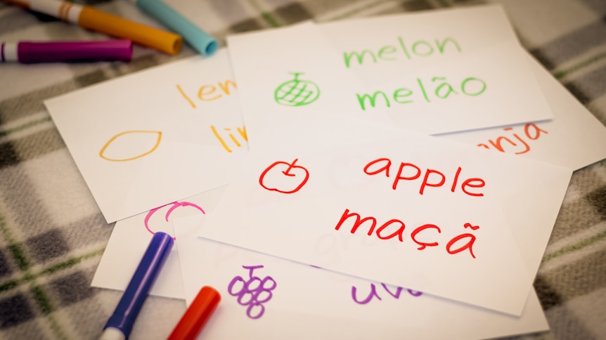 Flash cards with drawn pictures of fruits and the names of the fruits in Portuguese and English.