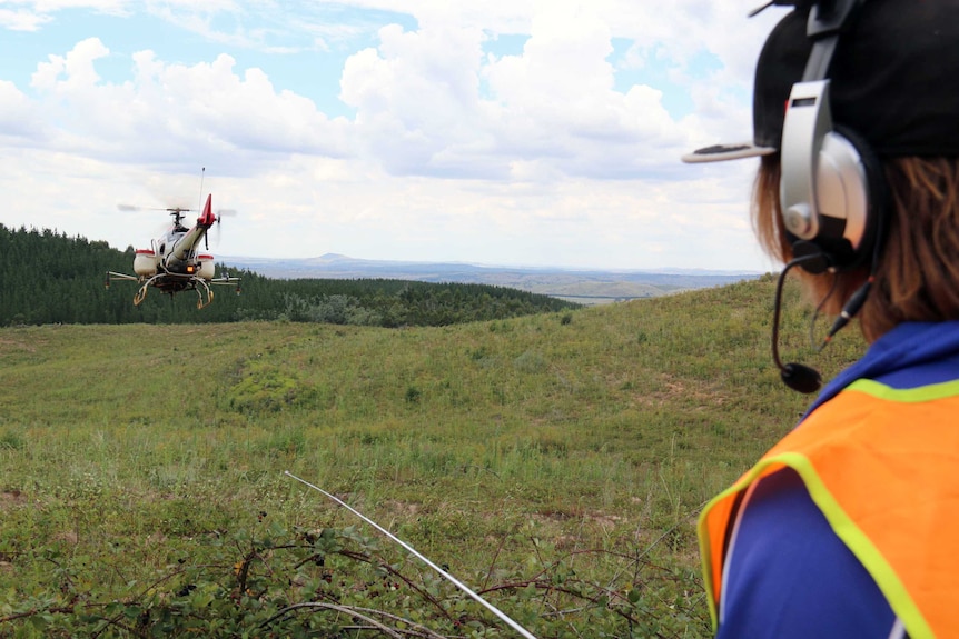 Tony Bopping's son Lawson operating the UAV over former pine plantations.