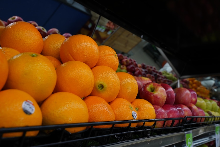 Oranges and apples on refrigerated shelves in a grocery store