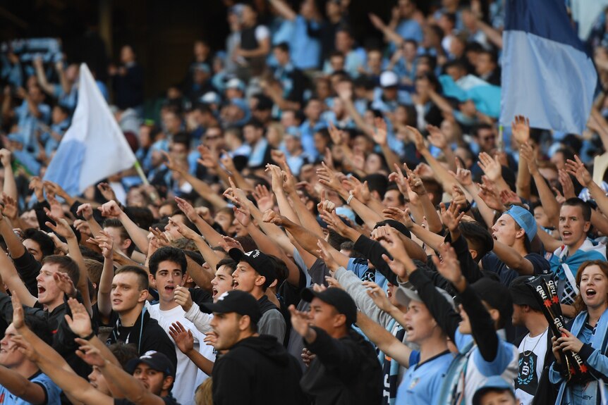 Sydney FC's The Cove in full voice
