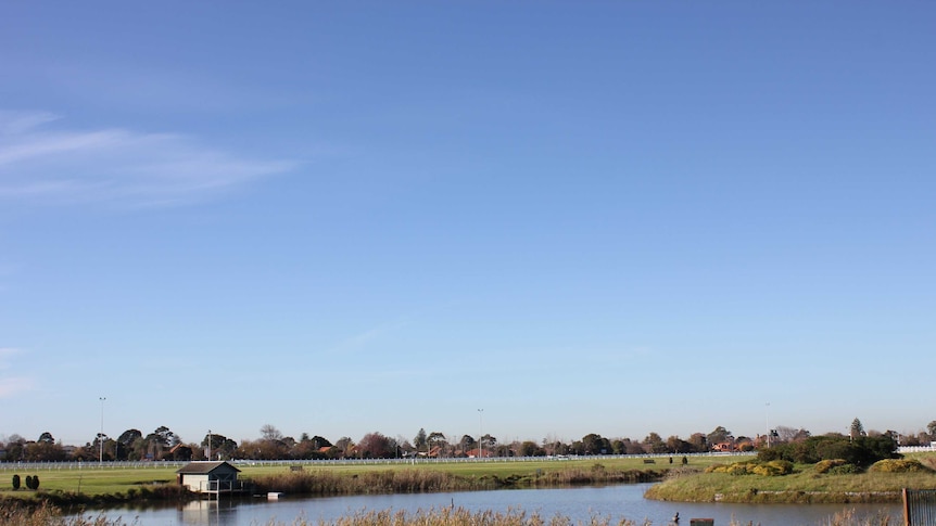 Caulfield Racecourse public land