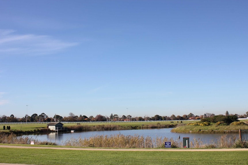 Caulfield Racecourse public land