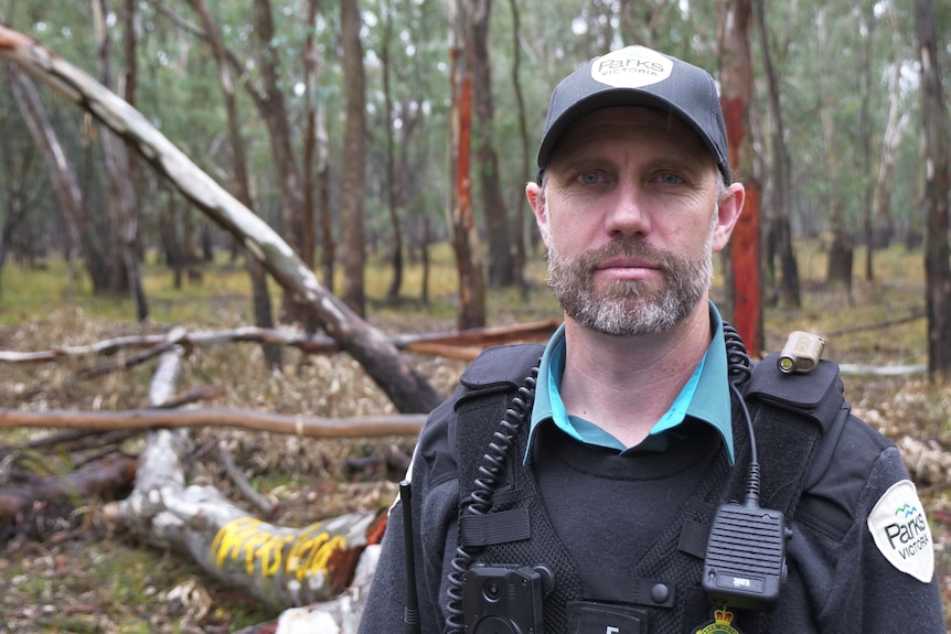 A man wearing a uniform including cap, vest and walkie talkie stands in the bush, unsmiling.