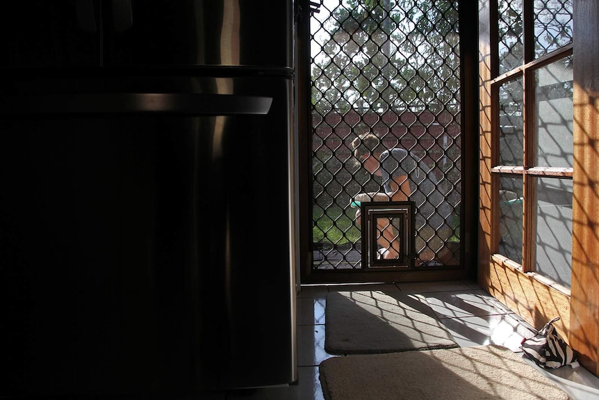 A photo of marine science researcher Annemarie Fearing through a kitchen door, with some nice afternoon sunlight.