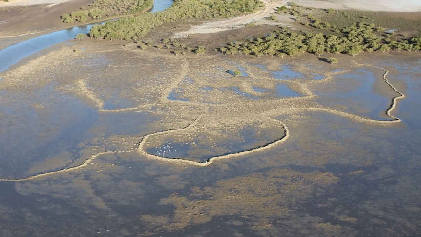 An aerial shot showing ancient rock-wall fish traps in water