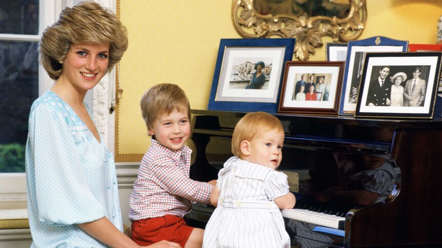Prince William says BBC fuelled Princess Diana's 'paranoia', harmed her relationship with Charles
