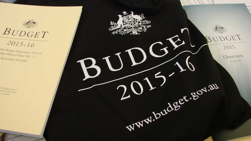 2015 federal budget papers and carry bag