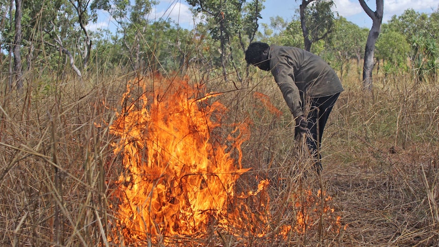 A Jawoyn Ranger burning in Nitmiluk National Park.