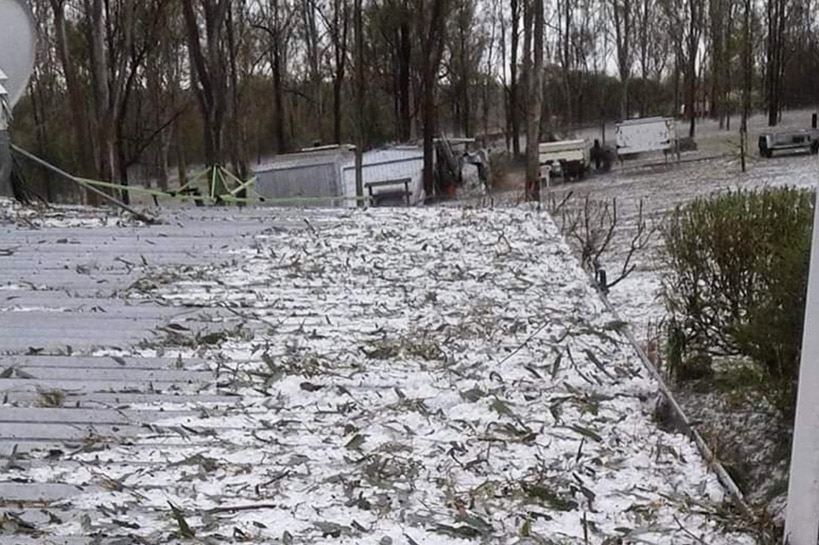 Hail on ground at property near Nanango.