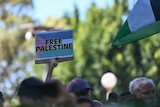 A person holds a sign reading "free palestine" above a crowd of heads at Hyde Park in Sydney