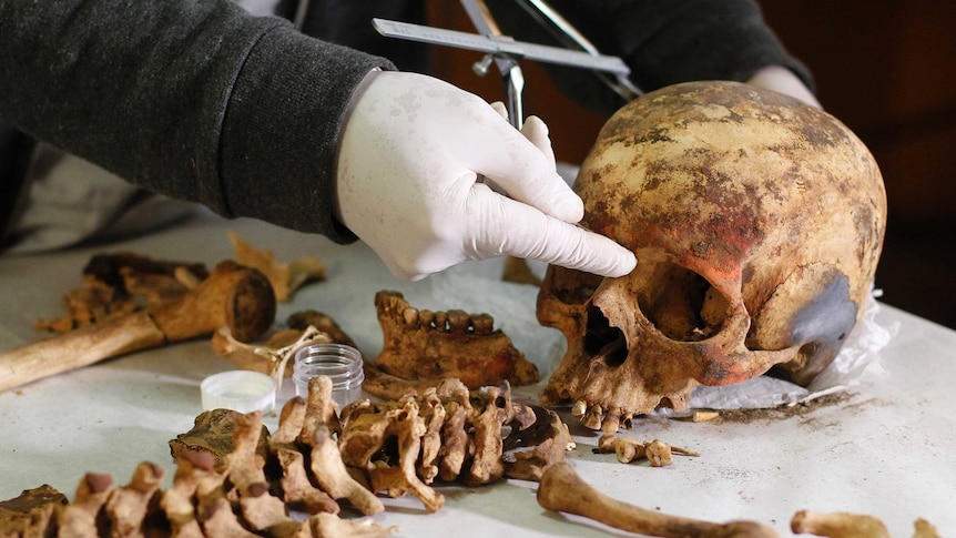 An archaeologist measures the remains of a woman believed to be a member of the royalty of the Wari empire found at a pyramid site called El Castillo de Huarmey, 185 miles (299 km) north of Lima, June 27, 2013.
