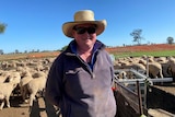 A farmer in sunglasses and a wide hat with sheep in the background