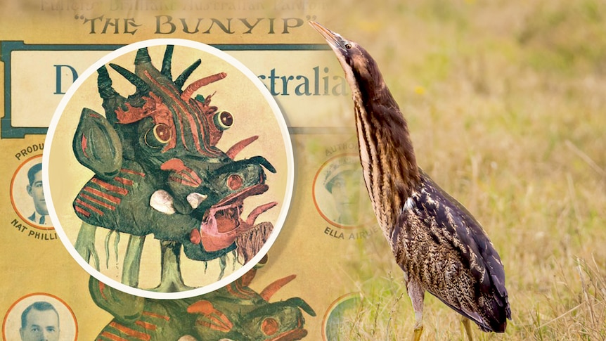 An artwork showing a photo of a bird on the right and an image of what people thought was a bunyip on the left.