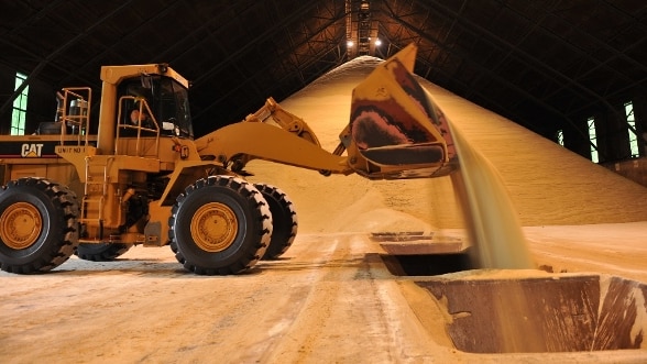 A large front-loader is loading export sugar from a huge pile in a bulk storage facility