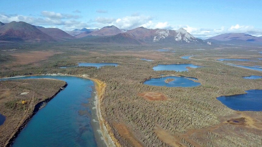 An aerial shot of an Alaskan wildlife refuge during the day