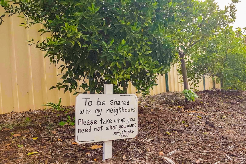 Verge fruit trees in suburban Perth. Sign reads 'to be shared with my neighbours'