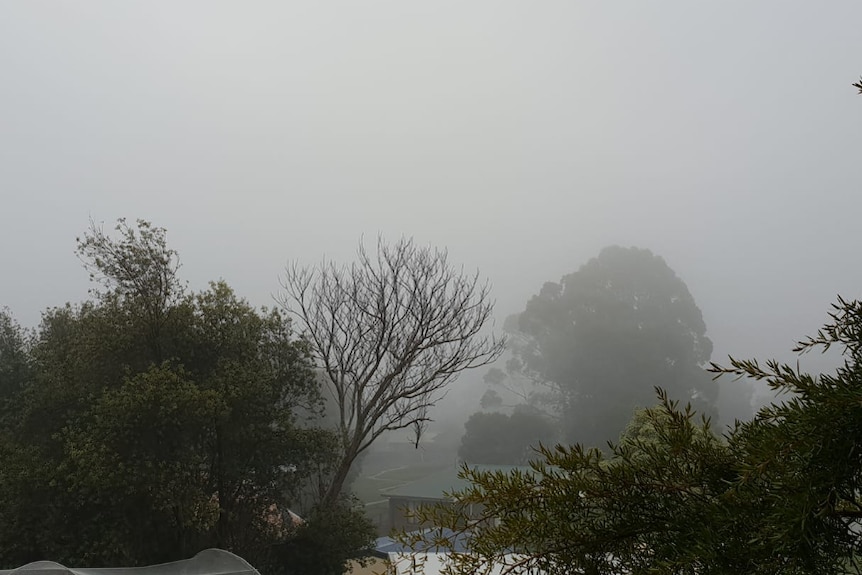 Parts of Launceston disappear under fog