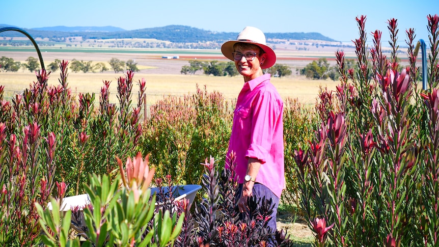 A woman in a pink shirt pushing a wheelbarrow through a garden patch