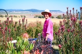 A woman in a pink shirt pushing a wheelbarrow through a garden patch