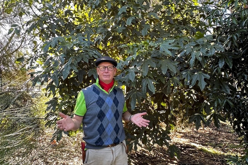A man in a vest standing next to a tree.
