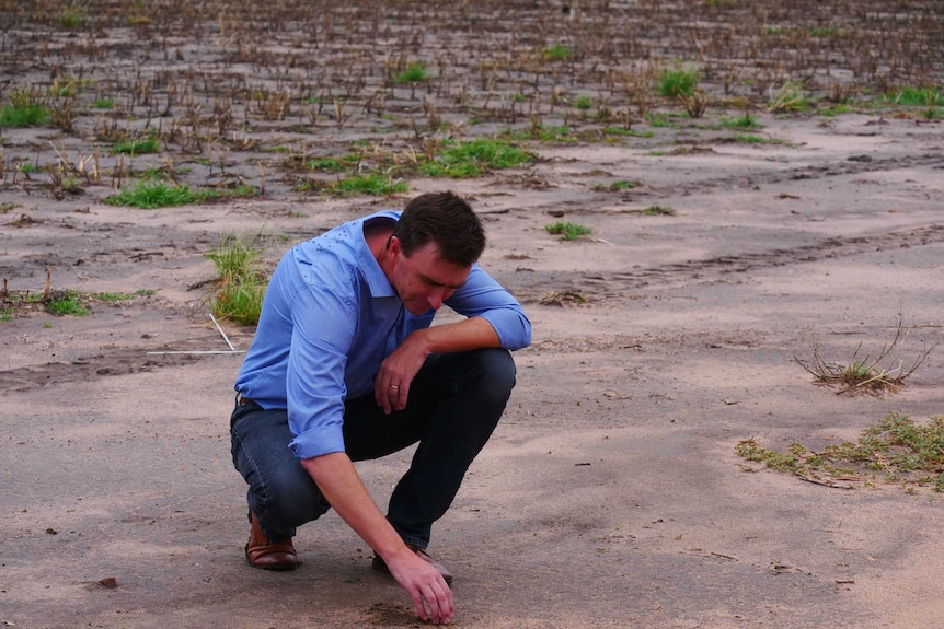 Soil specialist Professor Stephen Cattle inspects ground cover.