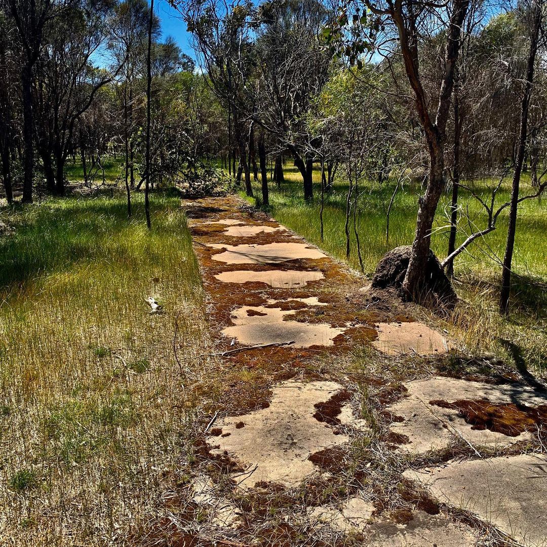 Les Everett's epic quest to uncover Australia's 'lost' cricket pitches