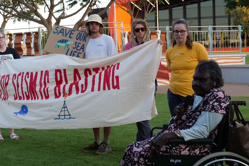 An indigenous woman in a wheelchair speaks at a protest while people stand holding placards.