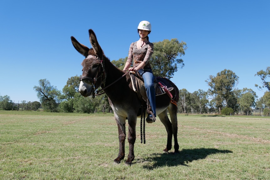 A woman riding a donkey on a glorious sunny day.