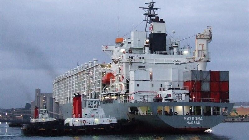 A livestock carrier docked at a port with a grey sky.