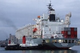 A livestock carrier docked at a port with a grey sky.