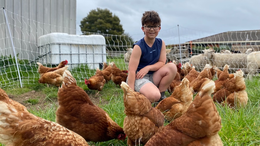 12-year-old Fletcher McCulloch crouches among a flock of hens who are ready to be sold as layers..