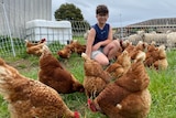 12-year-old Fletcher McCulloch crouches among a flock of hens who are ready to be sold as layers..